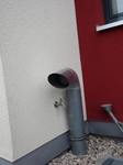 P1000050.JPG