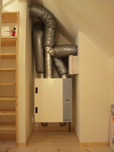 SH3G0285m.JPG