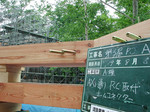 resize3107.jpg