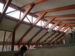 resize3220.jpg